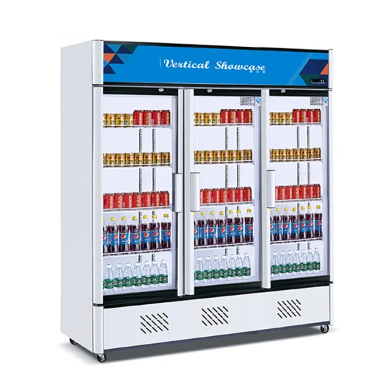 HG-1100AF 3-door beverage cooler commercial fridge Tanzania