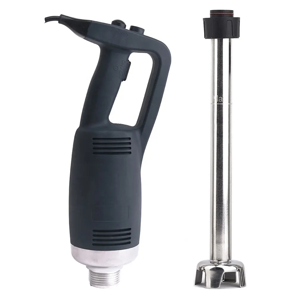 IB500LV variable speed hand blender 500W Dar es Salaam Tanzania