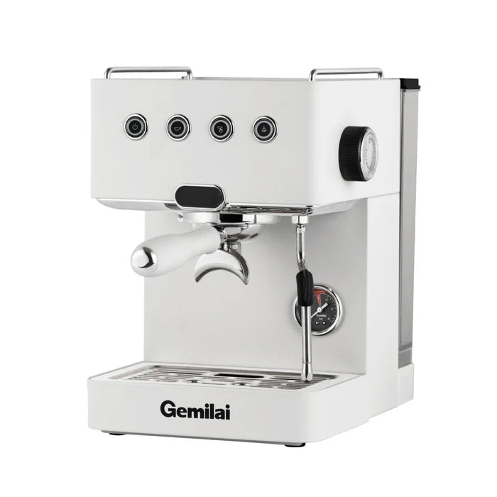 G3005L espresso coffee machine 15 bar pump Tanzania cafés