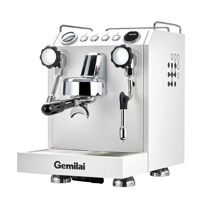 G3145 dual boiler espresso coffee machine 2.5L 15 bar Tanzania
