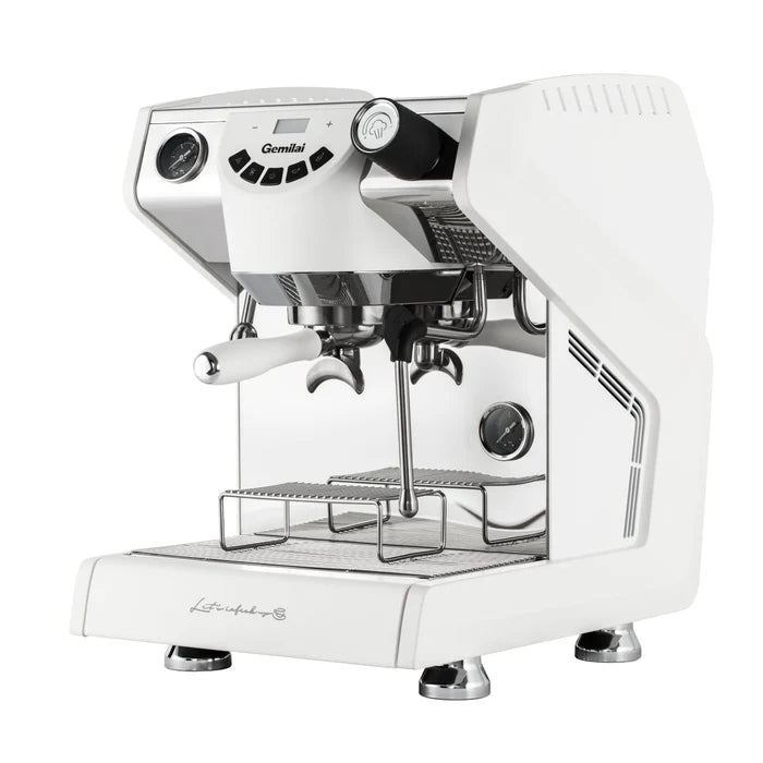 G3149 dual boiler professional espresso coffee machine 15 bar Tanzania