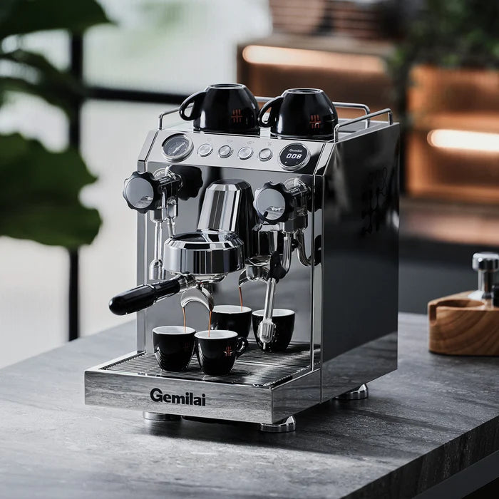 G3145 stainless steel coffee machine with steam and hot water East Africa